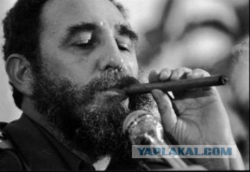 Сигареты и сигары – Куба