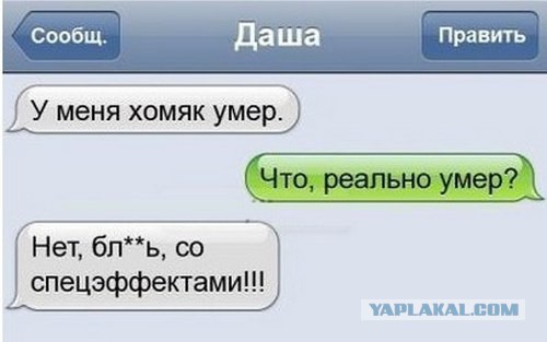 Смешные комментарии из социальных сетей