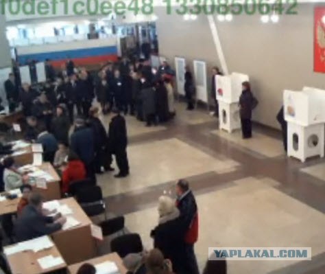Веб-камеры на избирательных участках