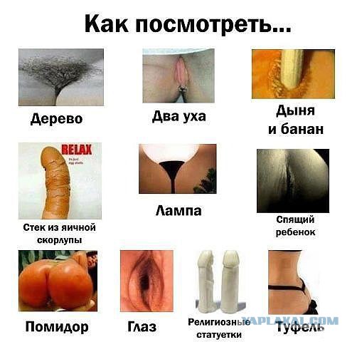 Весёлое из сети