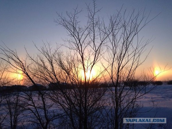 Солнечное гало