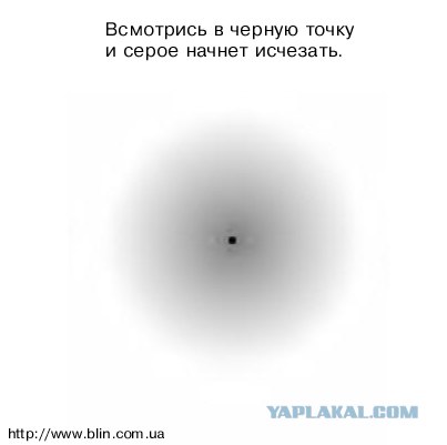 Оптические иллюзии