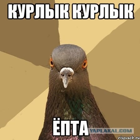 Как бы вас звали у индейцев