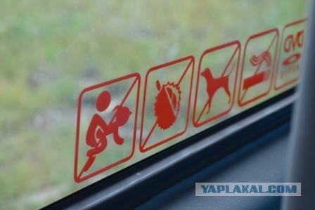 Вот такие жесткие запреты у нас в Пензе.