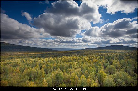 Люблю осень