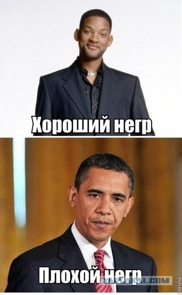 Политотка