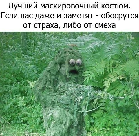 Картинки, надписи