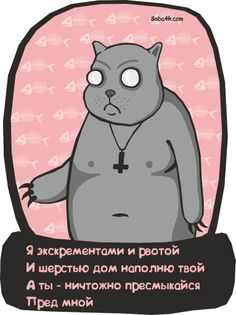 Мой кот меня не уважает?