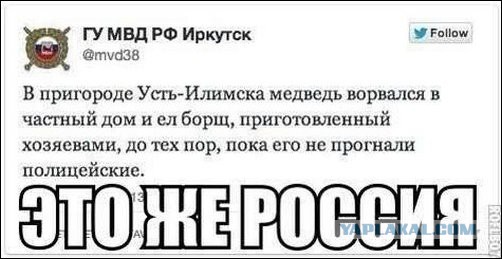 Смешные комментарии из социальных сетей.