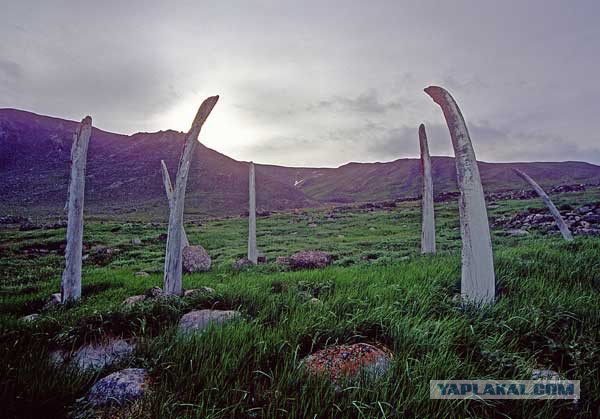 Отдых в России глазами The Guardian