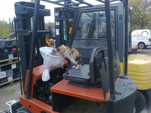 Картинки из Интернетов