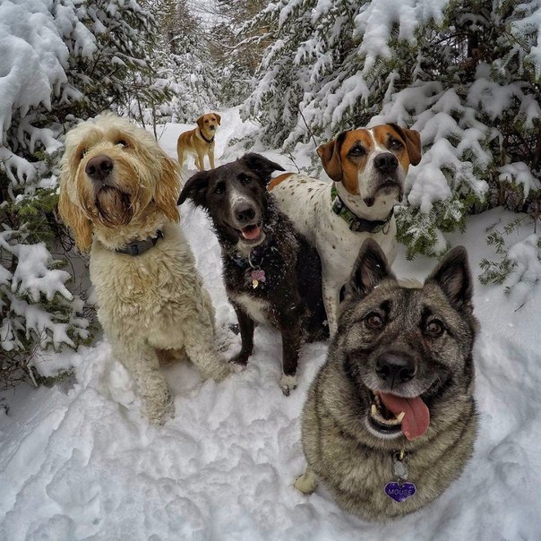 Подборка красивых фото