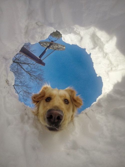 Фотоподборка на пятницу.