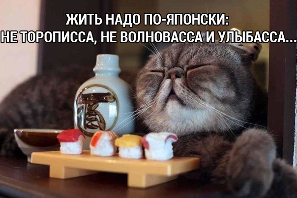 Картинки из сети