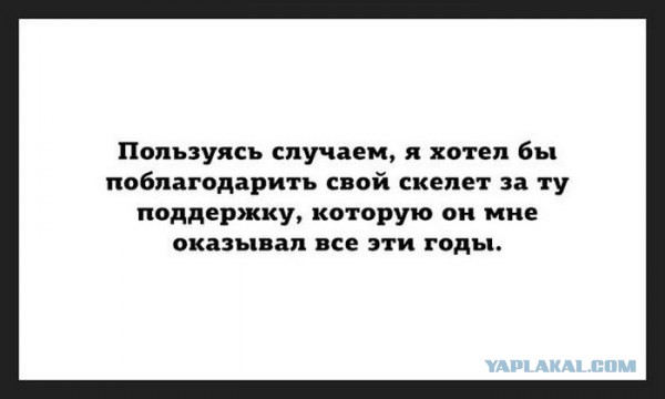 Интересные и веселые картинки