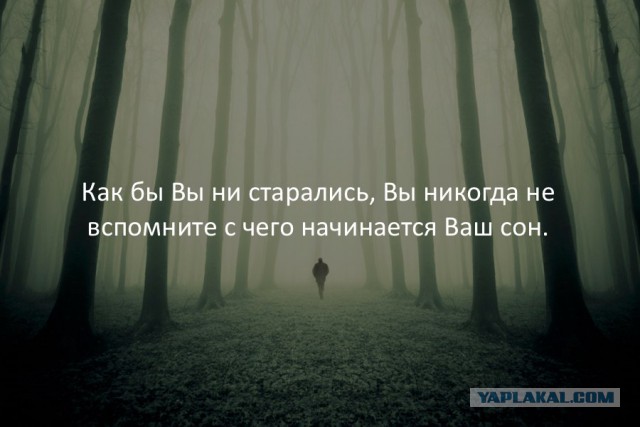 40 интересных фактов в картинках