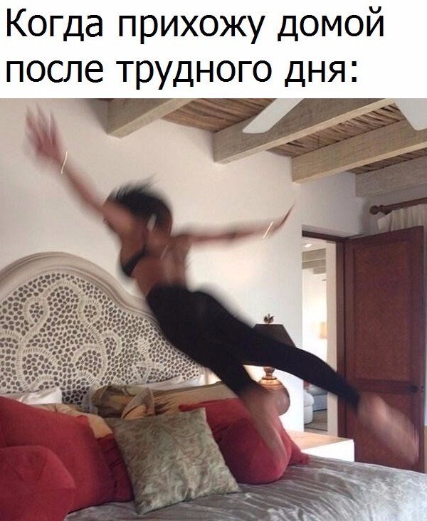 Смешные картинки я пришла домой, открытки день