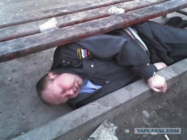 О боярышнике, социал-дарвинизме и людях, живущих в скотских условиях