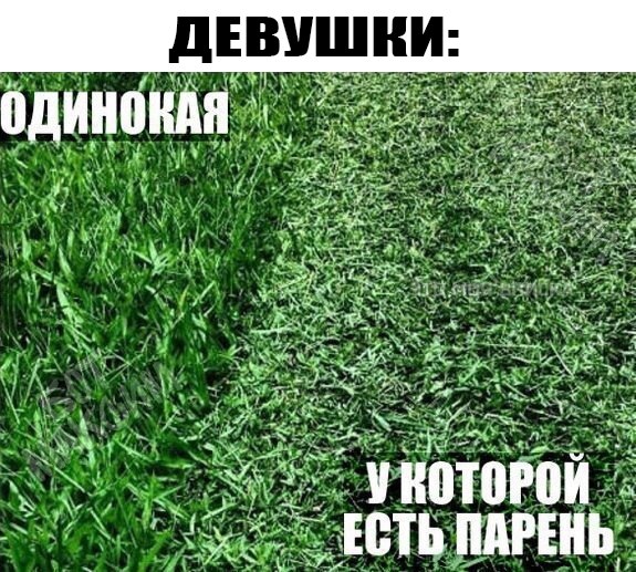 Картинки с глубочайшим жизненным смыслом. Часть третья