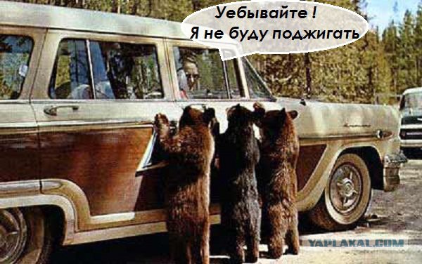 Приколы в стиле "регресс"