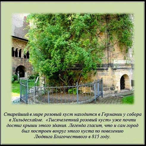 С миру по нитке-4