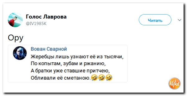 Смешные комментарии из социальных сетей 27.10.2017