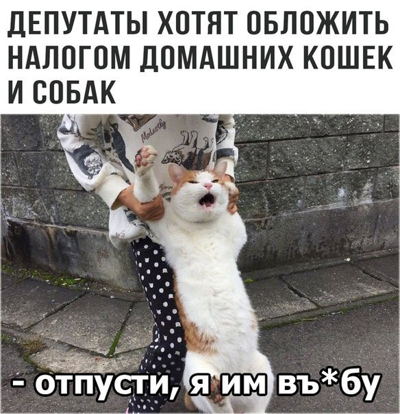 Просто юмор 9