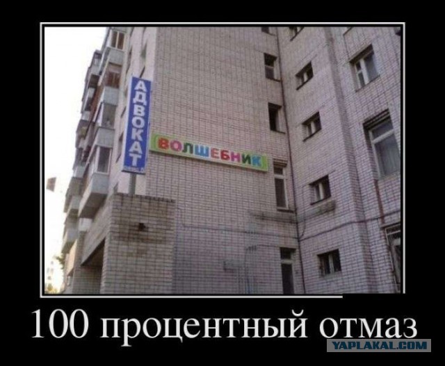 Картинки для настроения в пятницу.