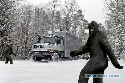 На охоту со своей палаткой