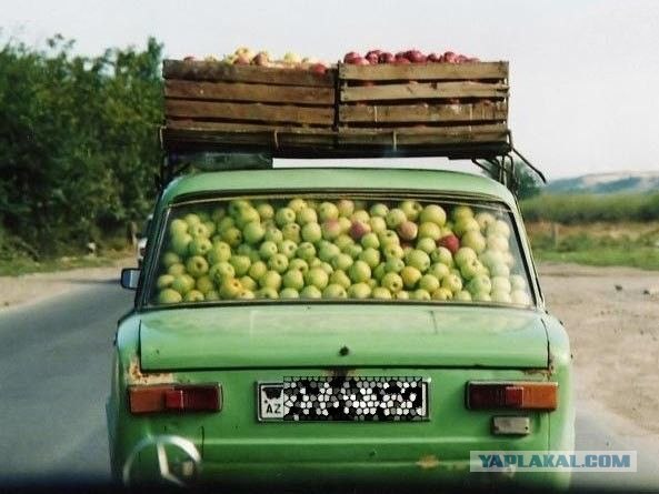 Казанские колхозники настолько суровы...