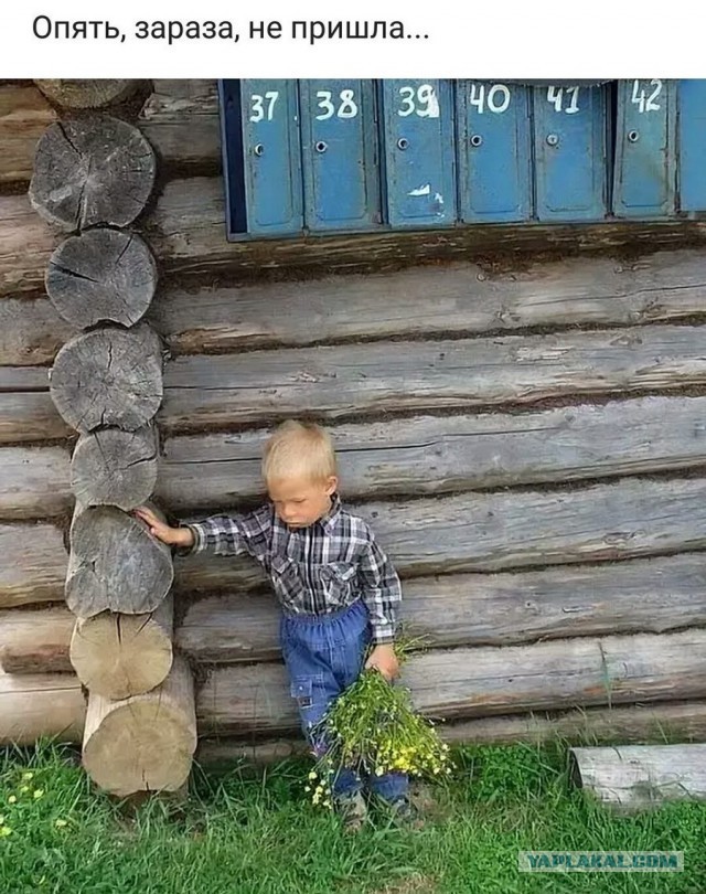 Чудики из социальных сетей