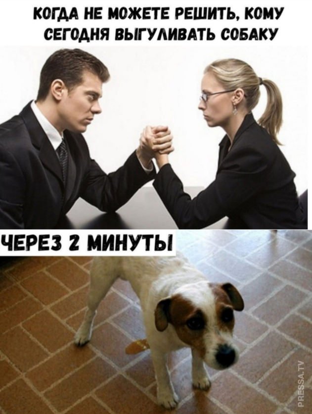 Немного картинок для настроения