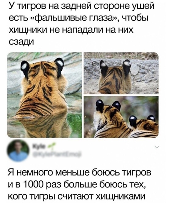 Не накручивайте