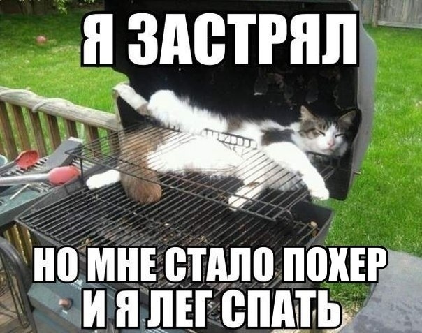Чуток картинок 20.05.20