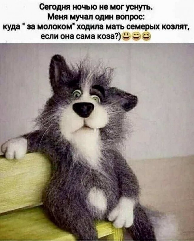 Похотливая шмонька и Том Груз из Томска
