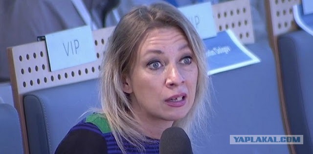 Путин извинился перед президентом Сербии за пост Захаровой с кадром из «Основного инстинкта»