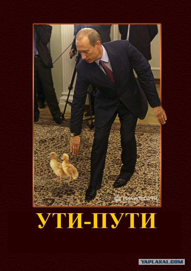 Фотожаба: Путин двинул кони