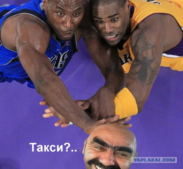 Ну очень жабельная фотография!