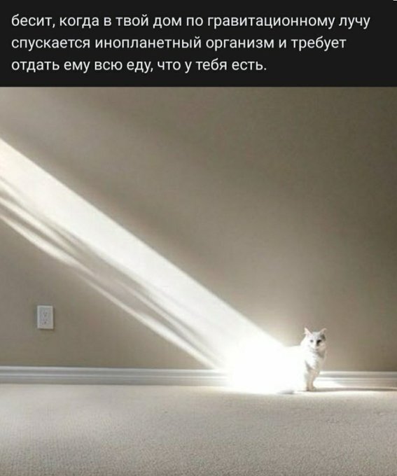 Бредзона 30.03.21