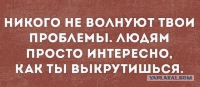 Насохранял