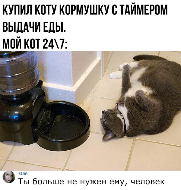 Картинки и мемы для настроения 17.08.2021
