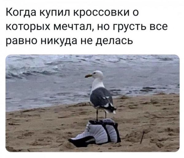 Так себе картинки 15.09.21