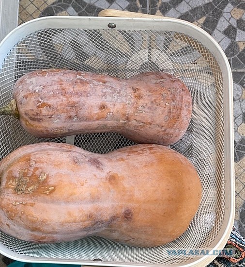 Быстро-вкусно: пирог на сметане с персиками