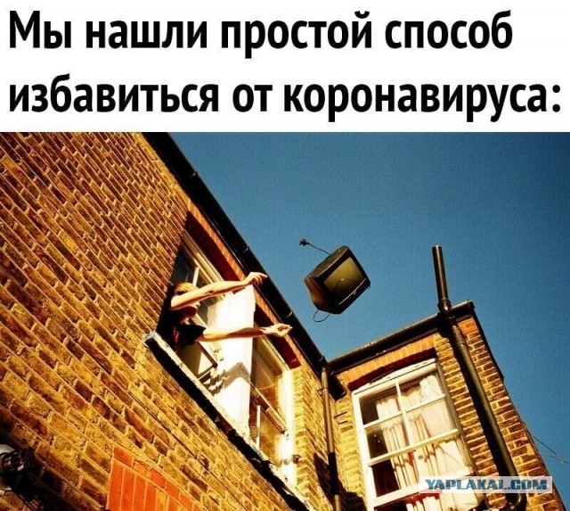 В Белгороде сотни местных жителей вышли на несогласованный митинг против Qr-кодов, распевая «День победы»