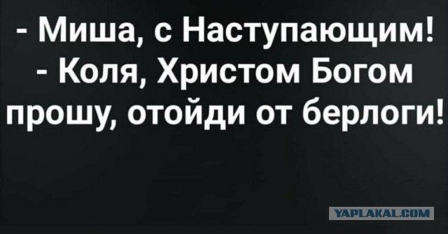 50 оттенков серого Vol.5 . Или самосвал баянов