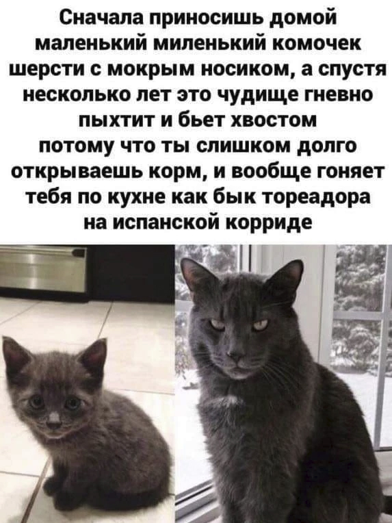 Немного картинок и прочей хреноты Vol. 14