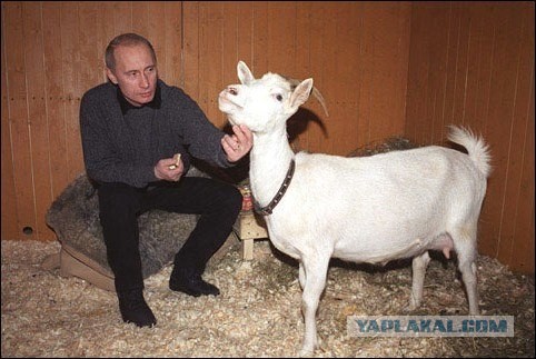 Ничего необычного, просто адлерская маршрутка... ой, в смысле рейс S7 из Тайланда