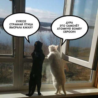 Чёрно-белые коти дождались Весну-красну