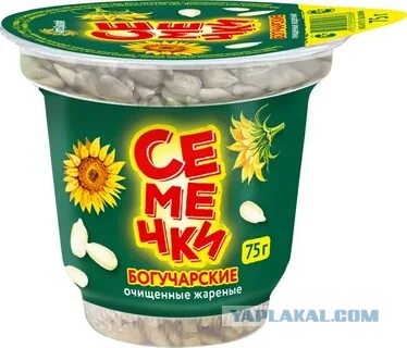 Не могу любить женщину без мозгов и ответственности