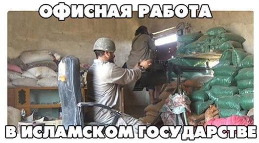 Так себе картинки 22.01.24